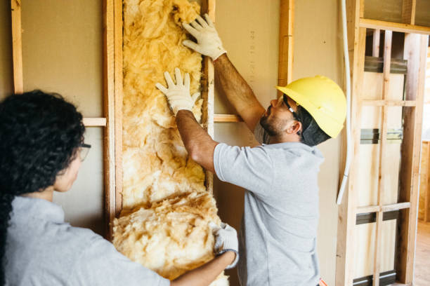 Insulation Contractors for Homes in Weidman, MI