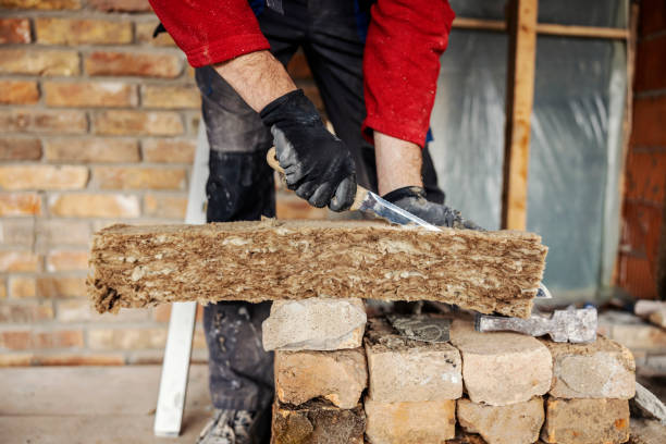 Best Residential Insulation Services  in Weidman, MI